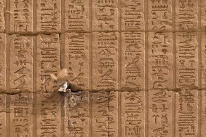 Qu’est-ce que l’écriture hiéroglyphique ?