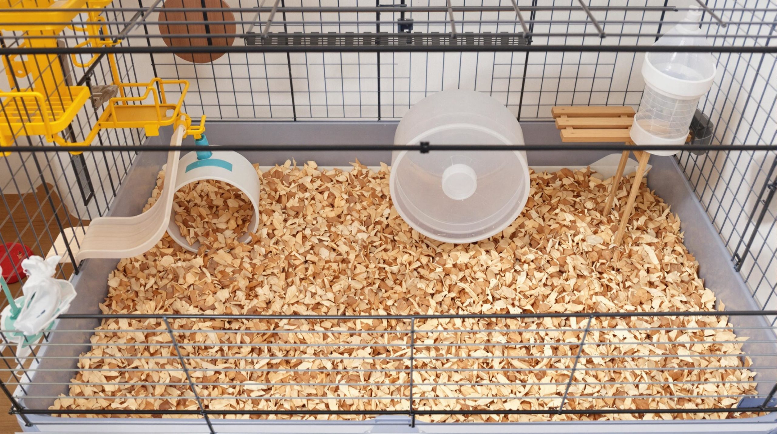 découvrez la durée de vie d'un hamster et les facteurs qui influencent sa santé et sa longévité. apprenez à prendre soin de votre compagnon à fourrure pour lui assurer une vie longue et épanouissante.